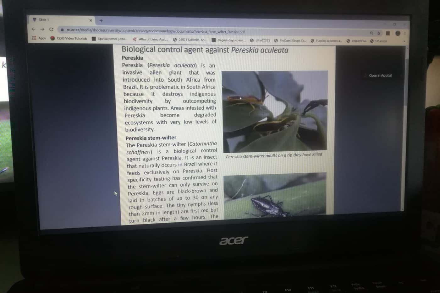 FABI Journal Clubs continue during lockdown