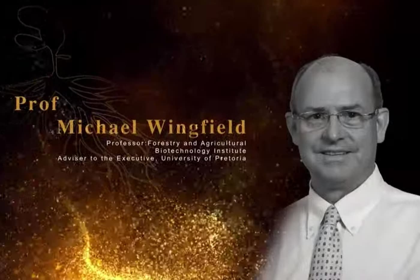 Mike Wingfield wins NSTF award