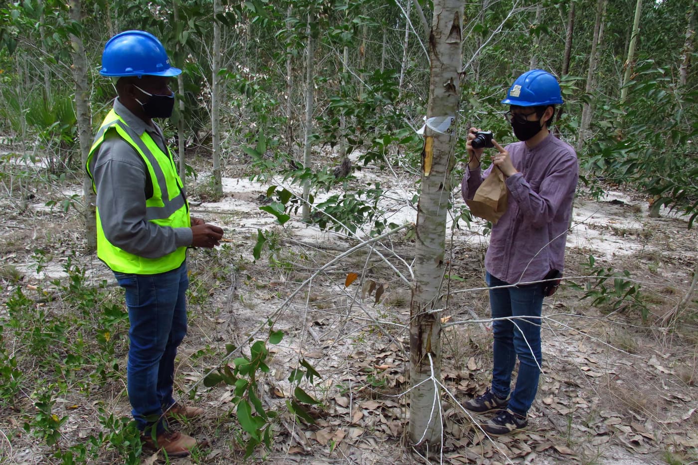 TPCP team members visit plantations on the KZN coast