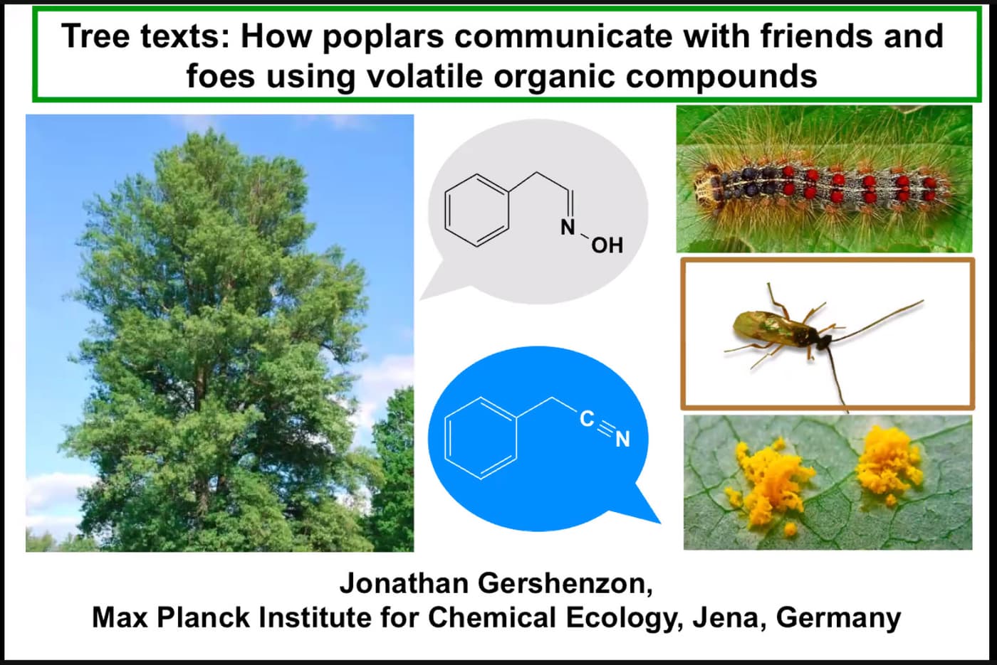Chemical Ecology under the spotlight at the FABI International Seminar Series