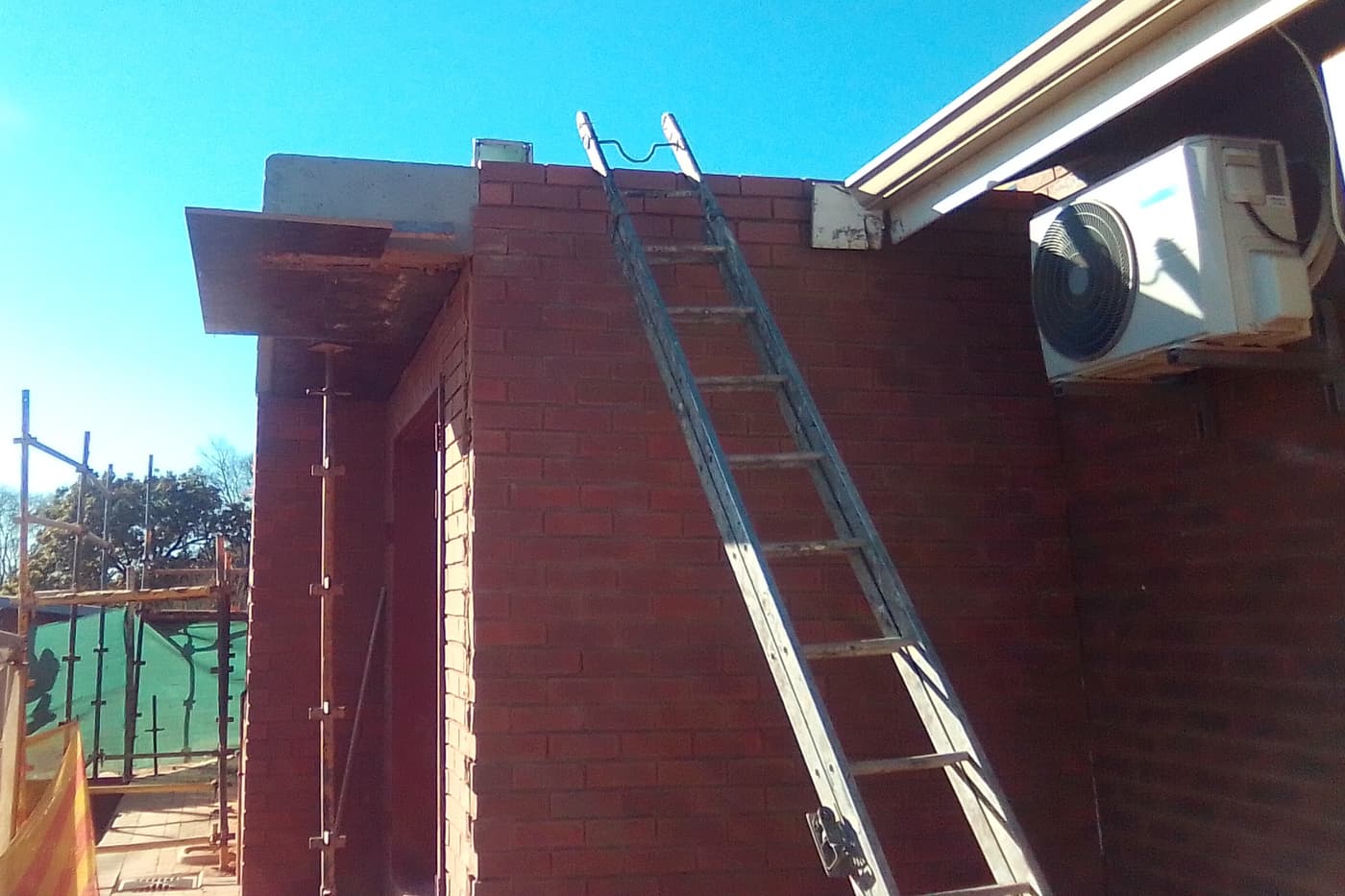 Construction of an artificial diet room started at the FABI Biocontrol Centre