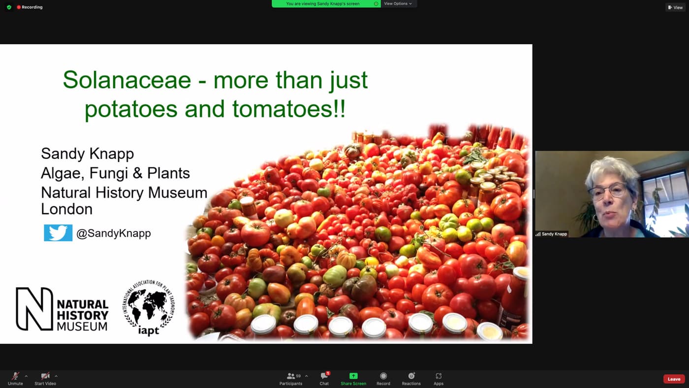 The Solanaceae family unpacked at the August SASSB webinar