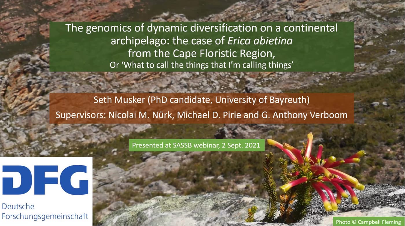SASSB webinar explores a continental floristic riddle