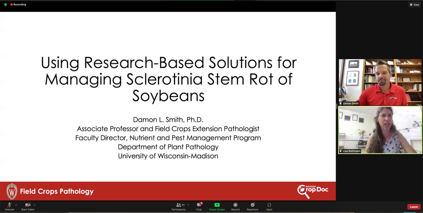 Sclerotinia stem rot of soybean research featured in the FABI International Seminar Series