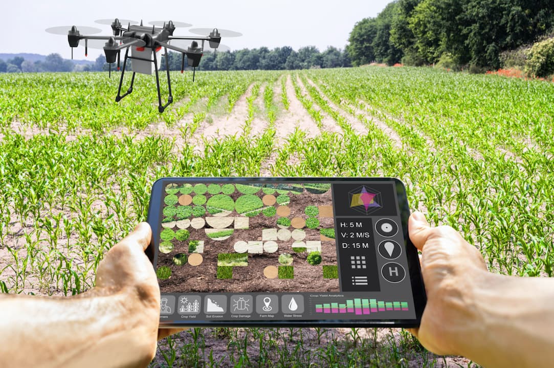 AI and Crop Health – Business Day article for World Food Day