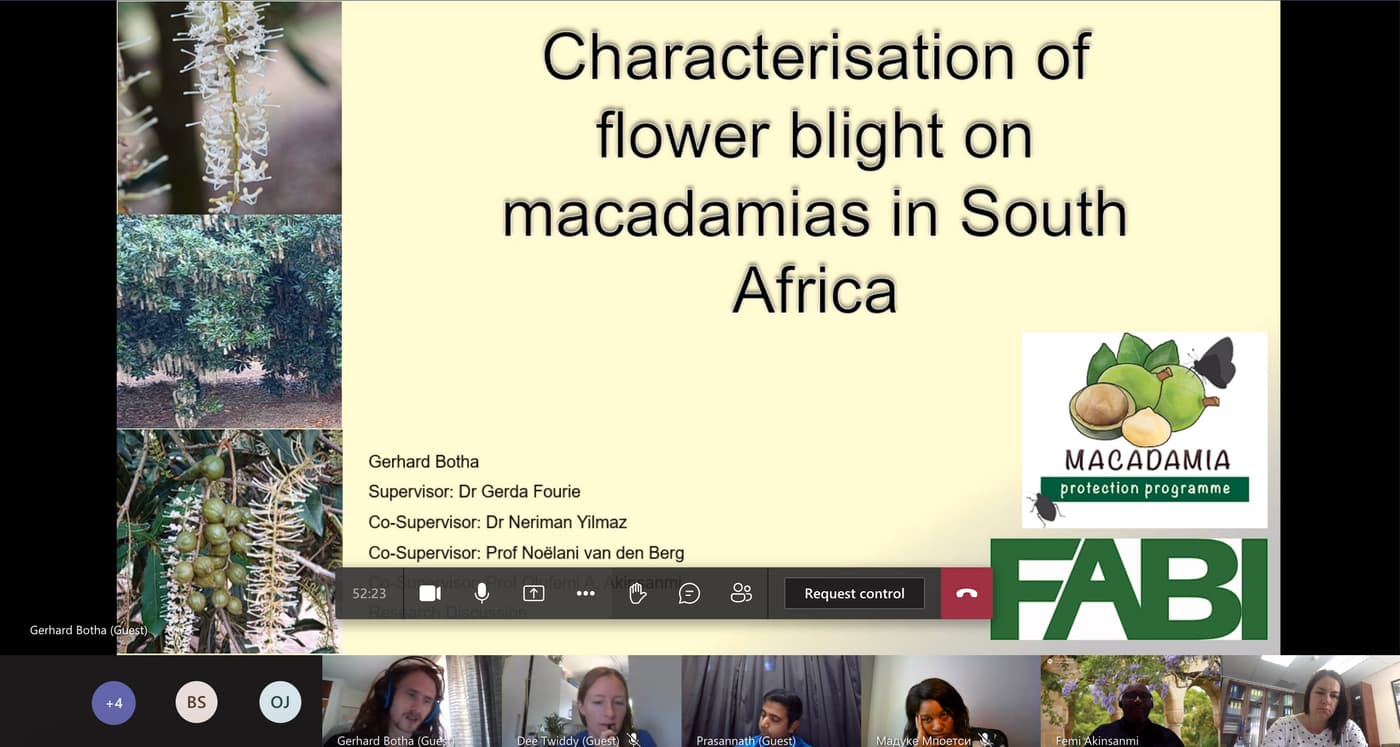 Researchers from FABI and UQ strengthen collaboration with regular online meetings