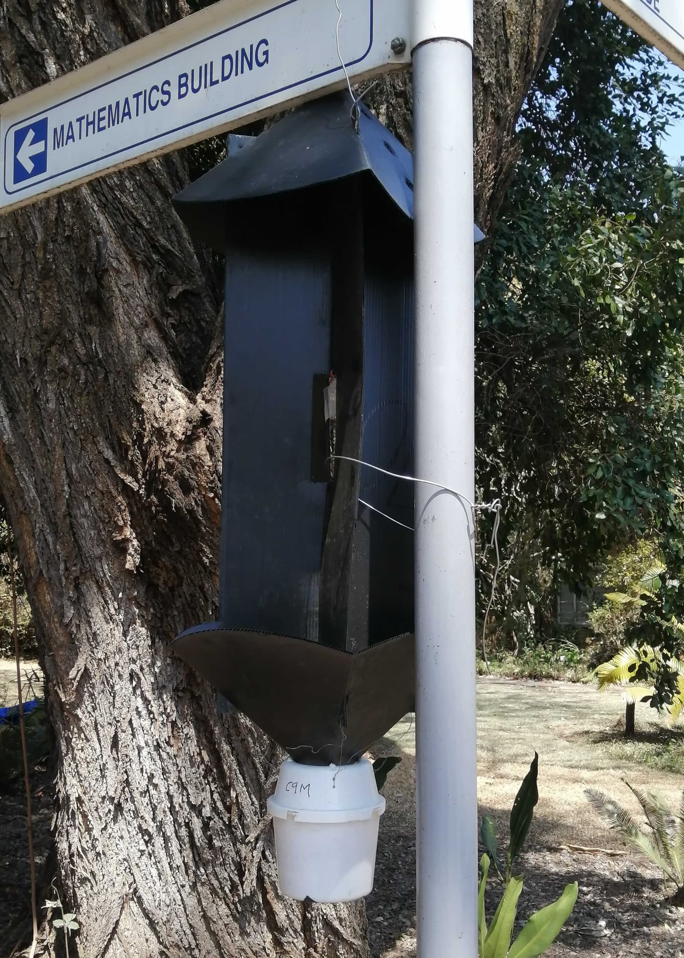 University of Pretoria protects trees against PSHB infestation