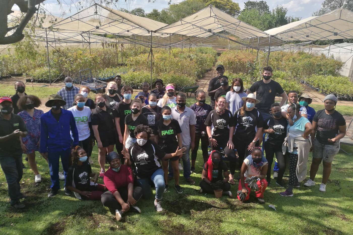 Tree planting brings the year to a close