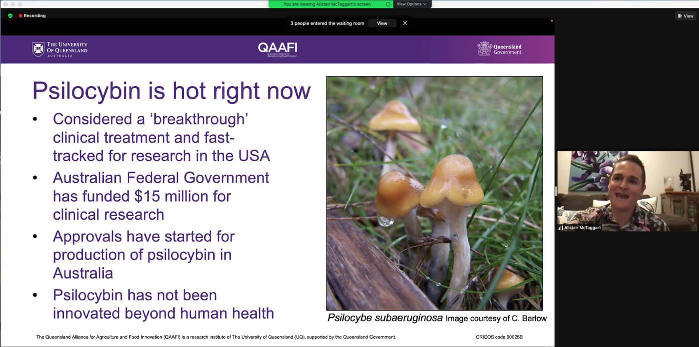 Rust, Sex and Magic at the FABI International Seminar