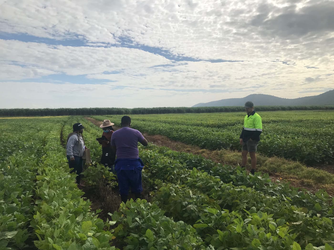 NGRP Team visits CropWatch Africa at Komatipoort