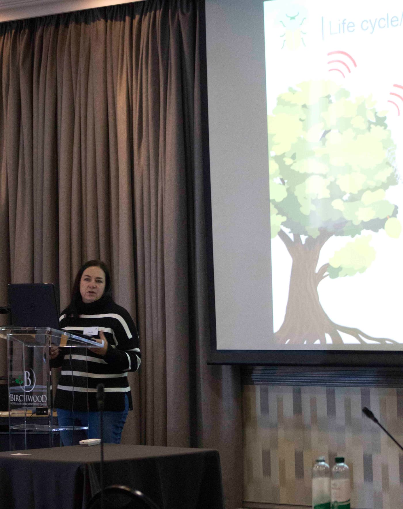 The Macadamia team presents at the SAMAC Research Networking Day