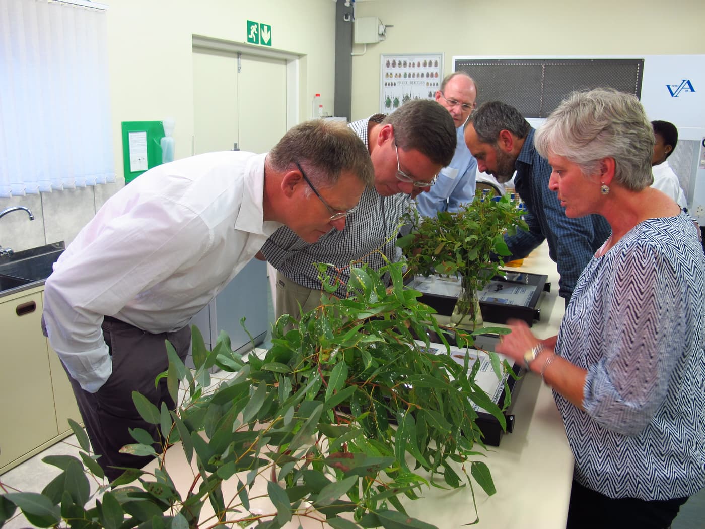 York Timbers CEO Visits FABI