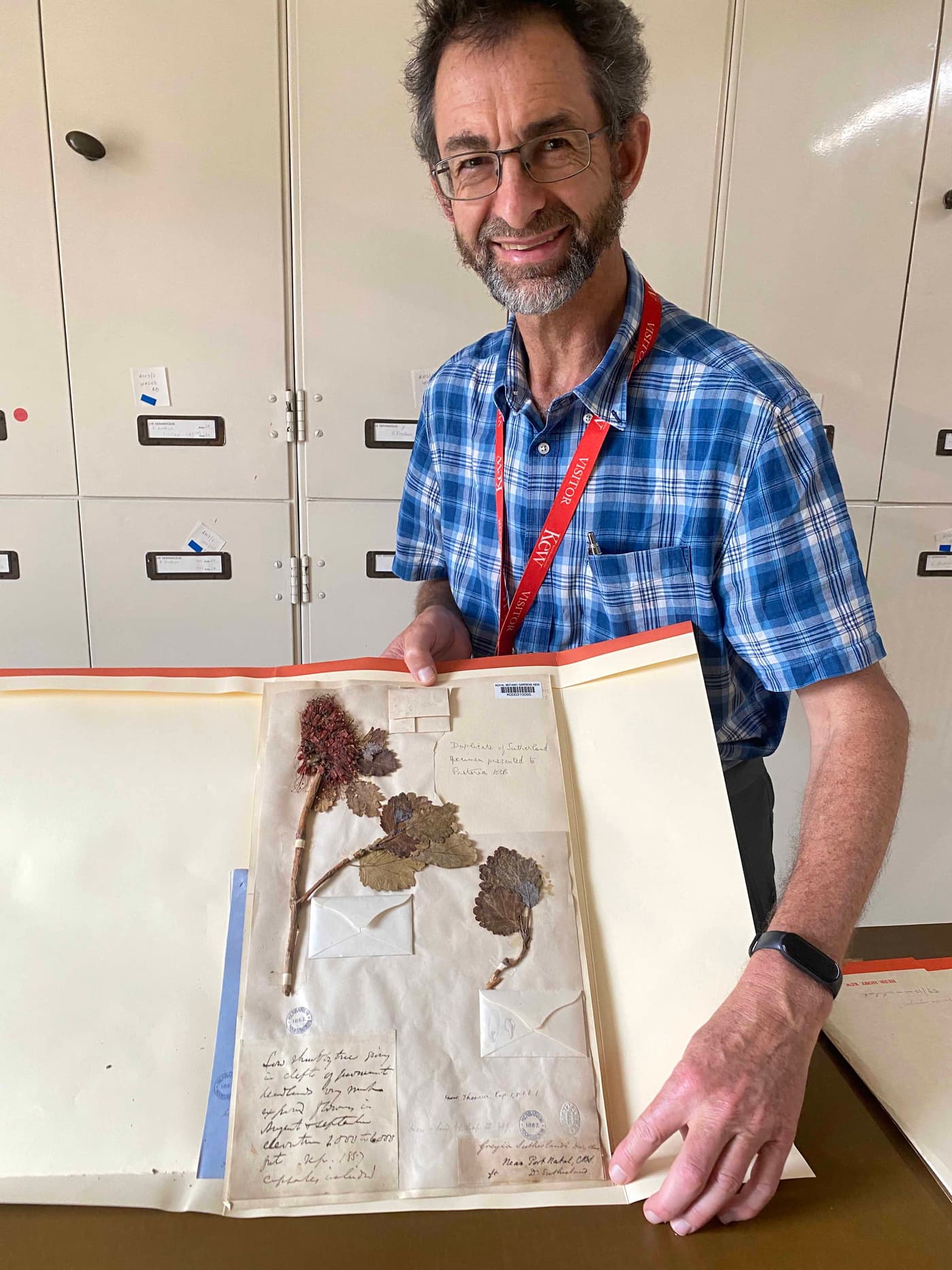 Back to the Future (1850s) – Rothamsted long term field trial and Kew Type specimens of <I>Greyia</I