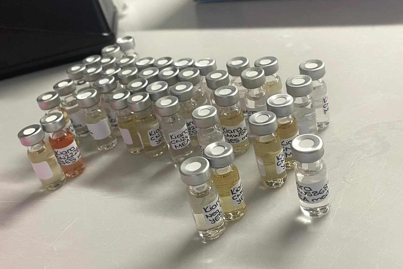 FABI Researchers strengthen Mycobiomics collaborations in Austria and Germany