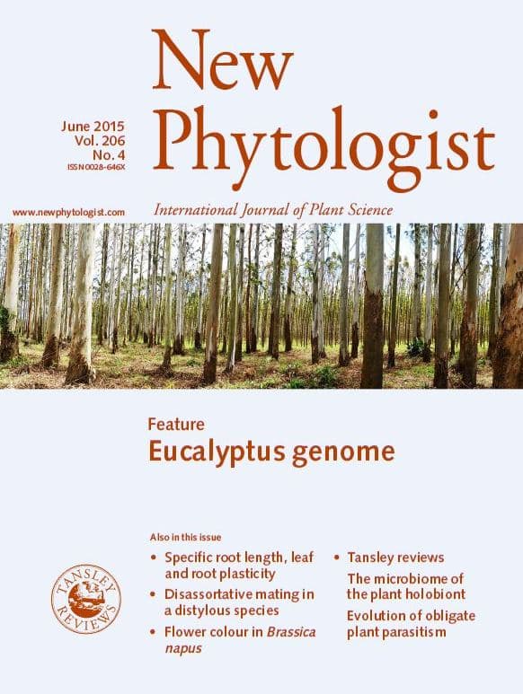 FABI researchers unravel <i>Eucalyptus</i> genomics and biology