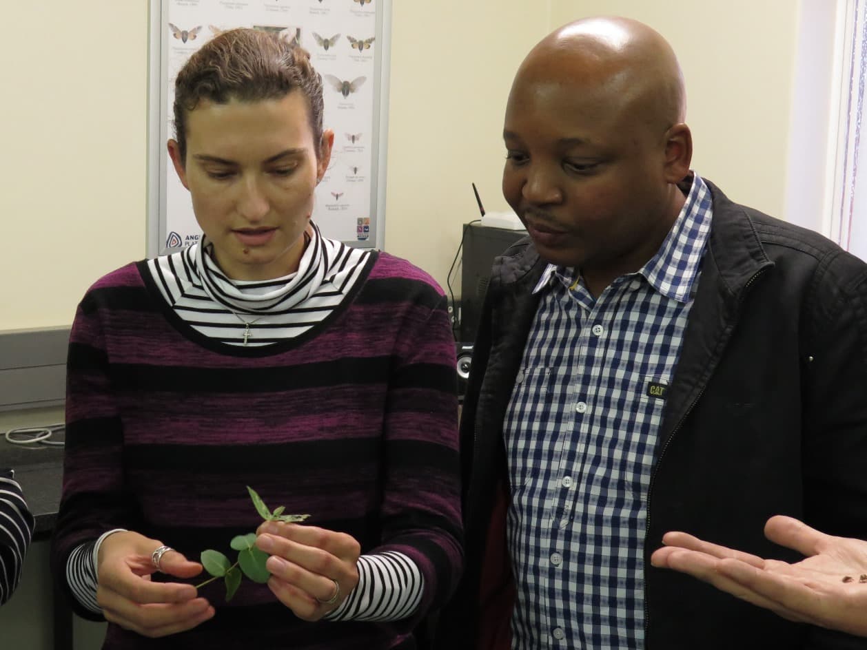 FABI welcomes DTI delegation