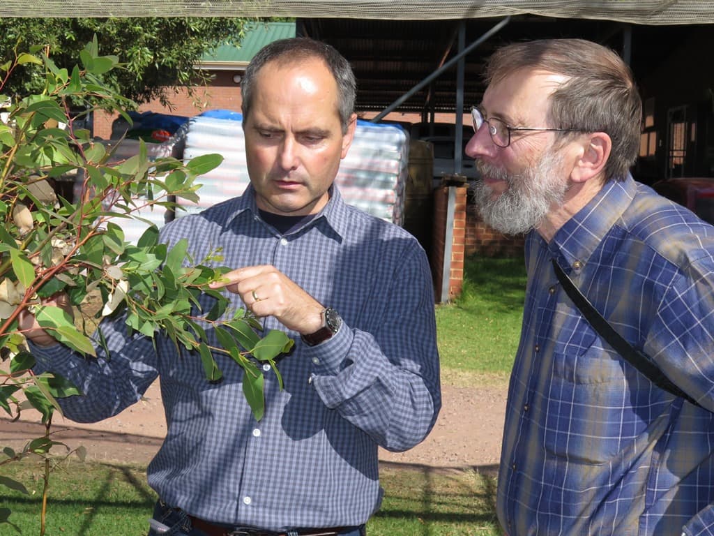 Prof. Everett Hansen visits FABI