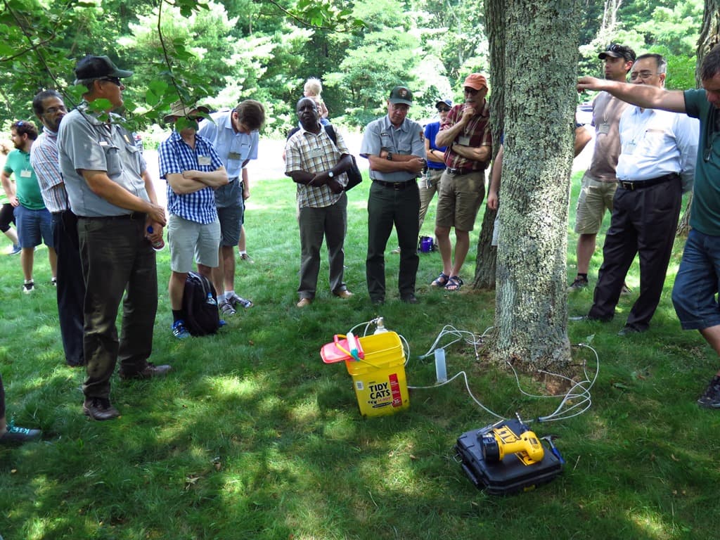 FABI scientists participate in IUFRO task force workshop on forest biological invasions