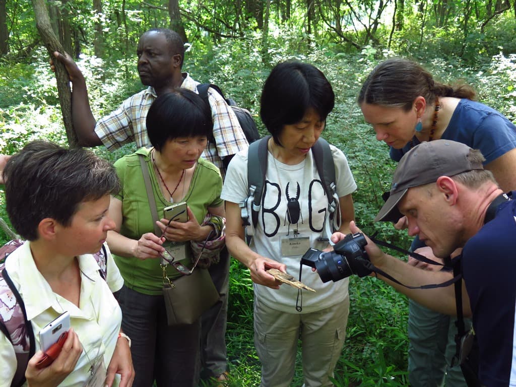 FABI scientists participate in IUFRO task force workshop on forest biological invasions