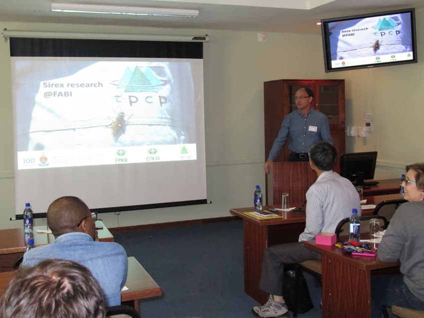 Sirex research in South Africa and Japan in the spotlight at a FABI mini-symposium