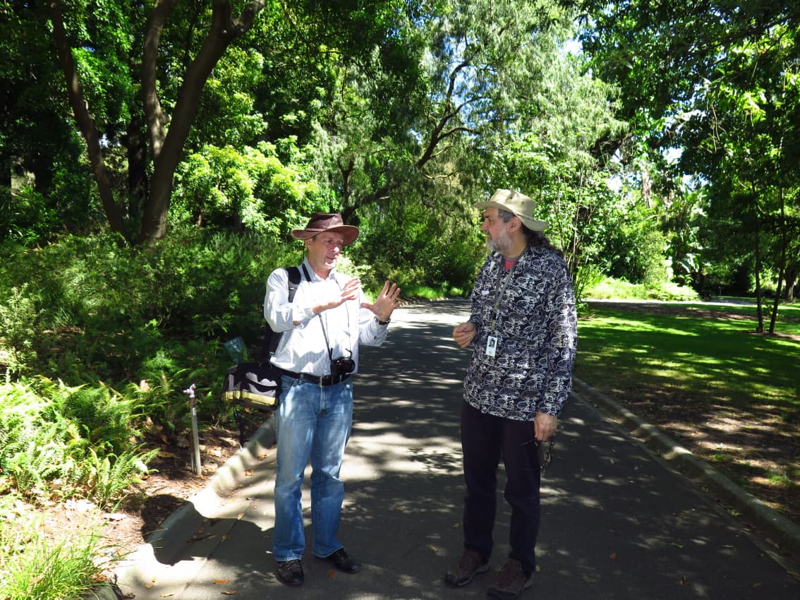 Mycological musing at the Melbourne Botanical Garden