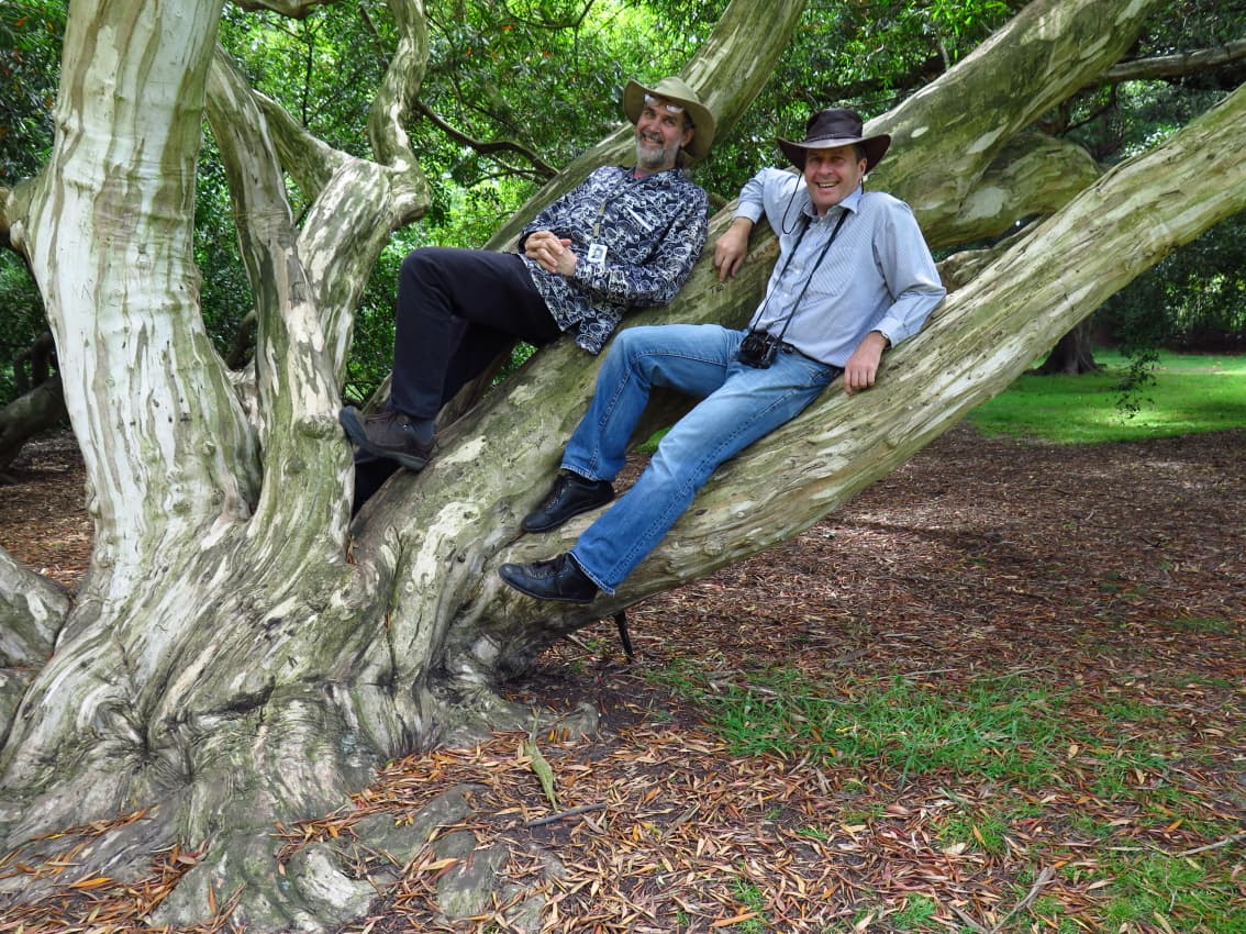 Mycological musing at the Melbourne Botanical Garden