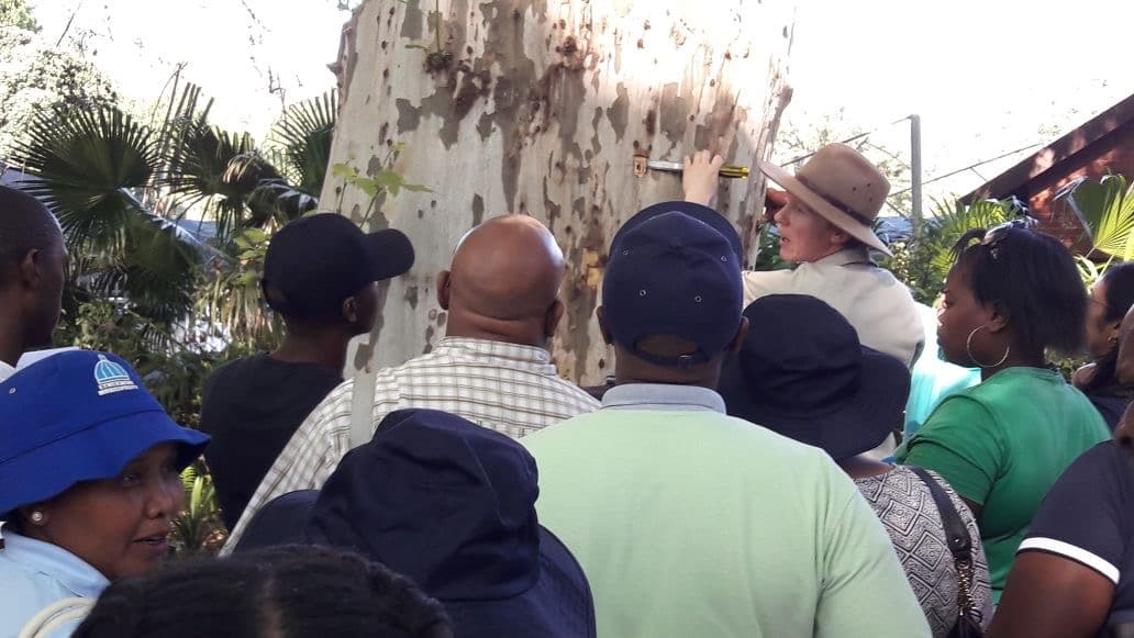 FABI postdoctoral Fellow conducts International Plant Sentinel Network workshops