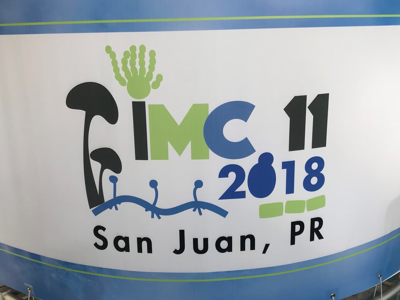 Two Fabians receive prestigious awards at the International Mycological Congress