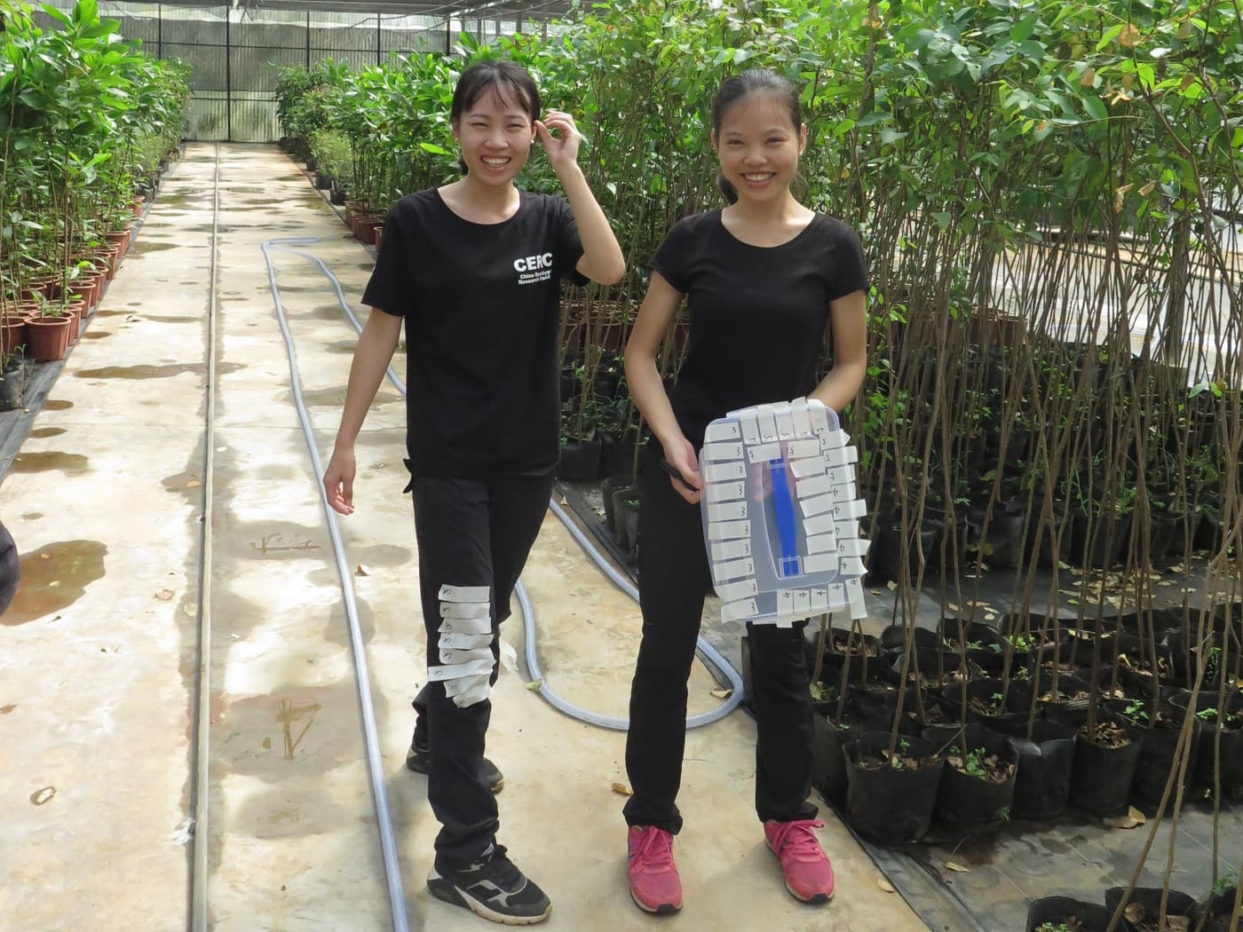 CERC-FABI team conducts major inoculation experiment
