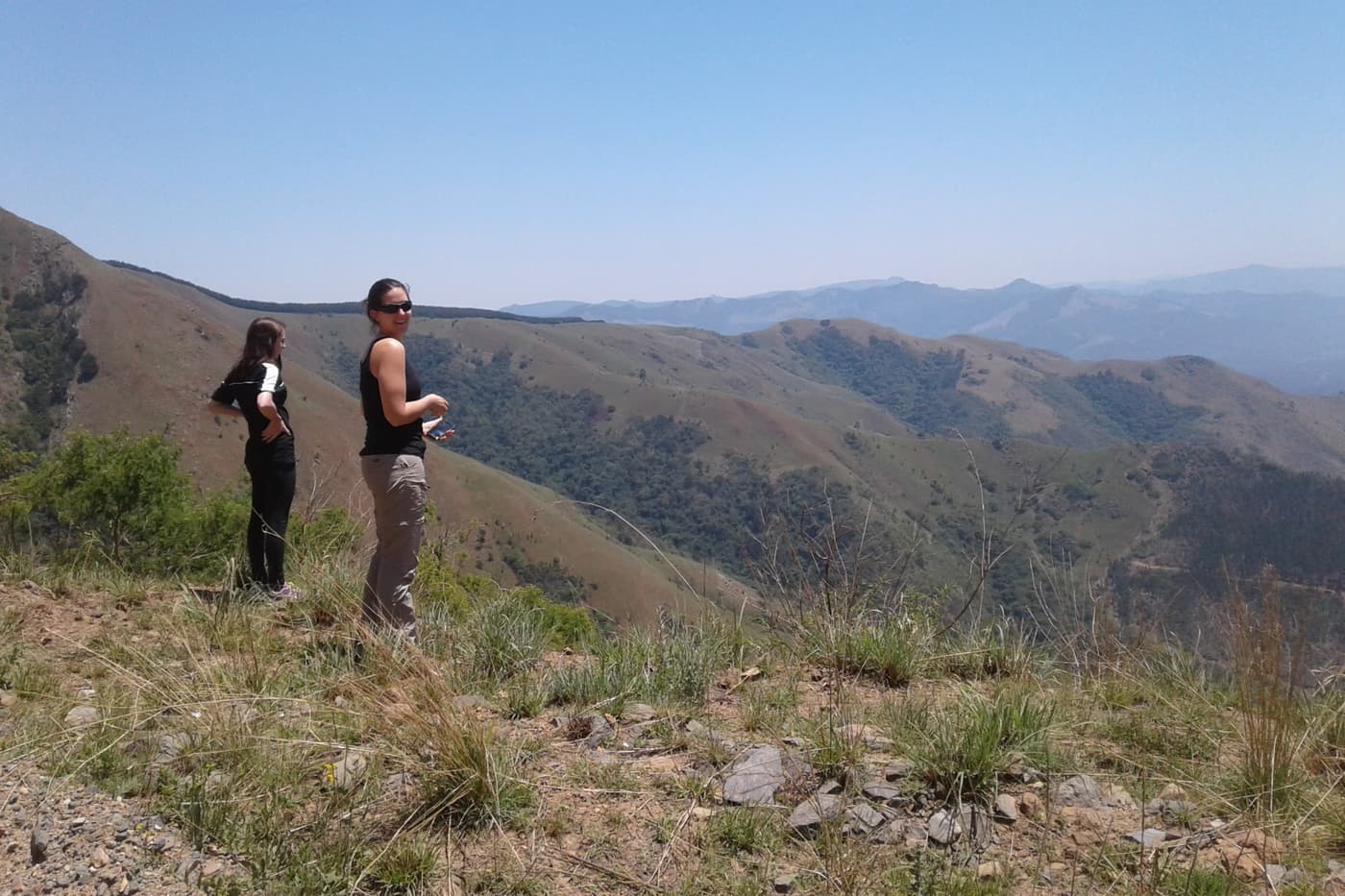 Chemical ecology field work at FABI