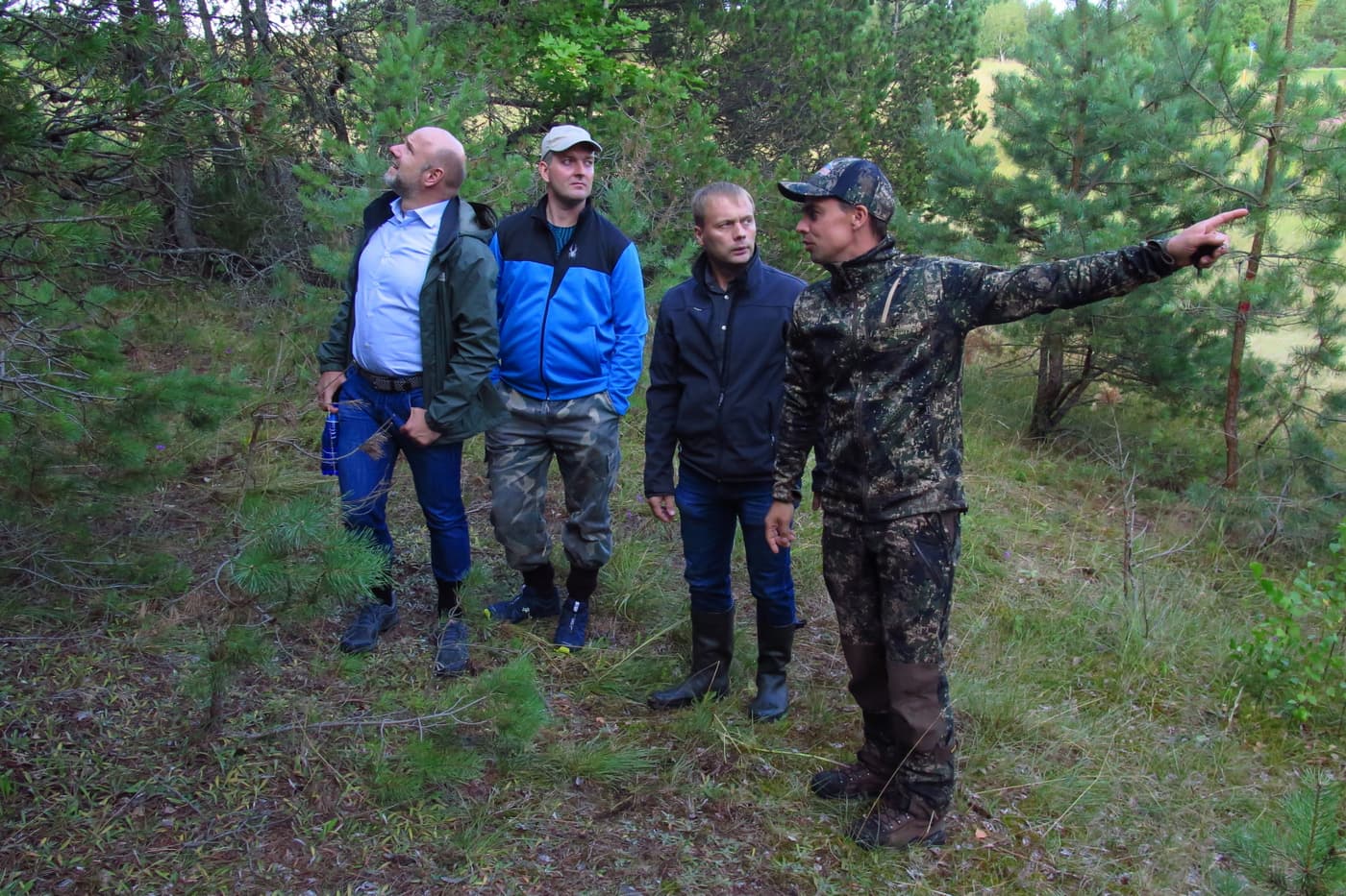 A brief forest pathology tour of south Estonia