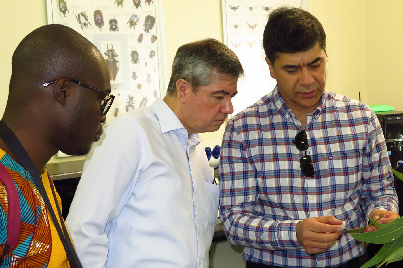 Chilean Forestry Delegation visits FABI