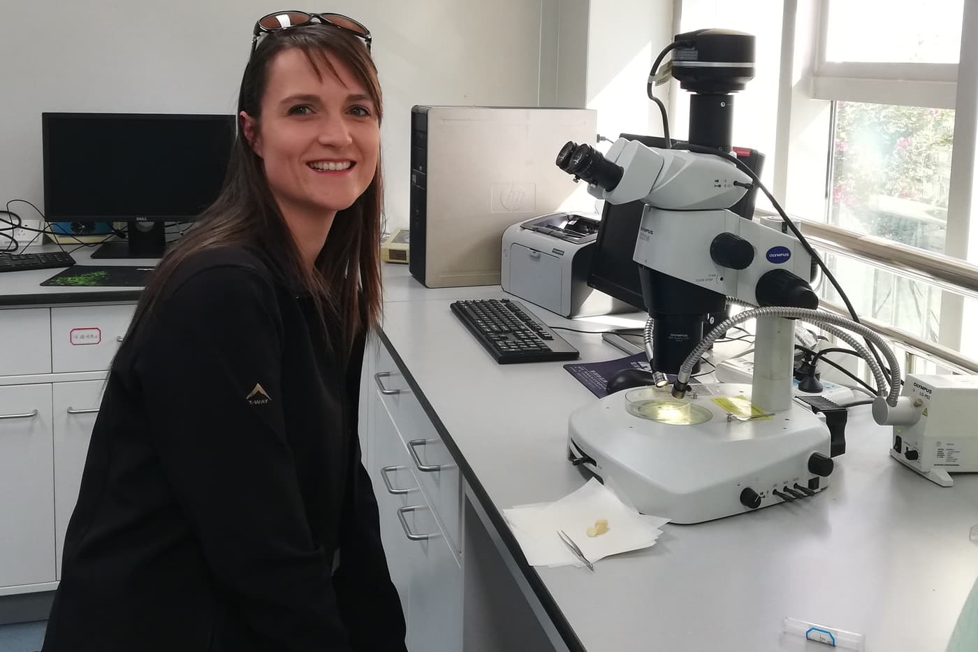 FABI researchers attend the International Macadamia R&D Conference in China