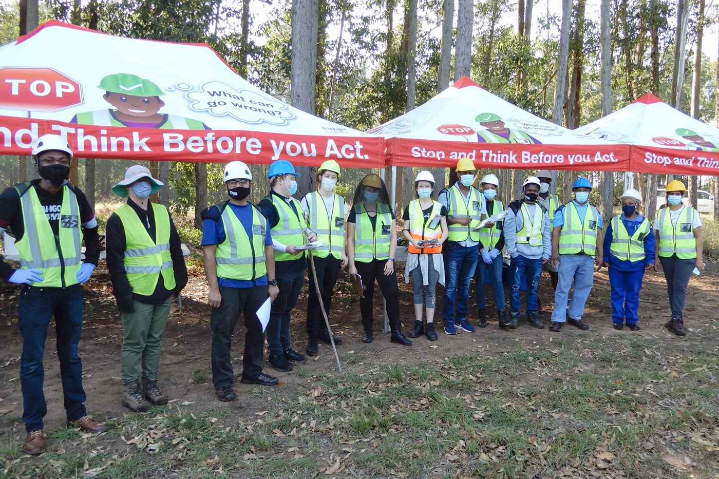 More than 500 <i>Eucalyptus</i> trees harvested for future studies in FABI