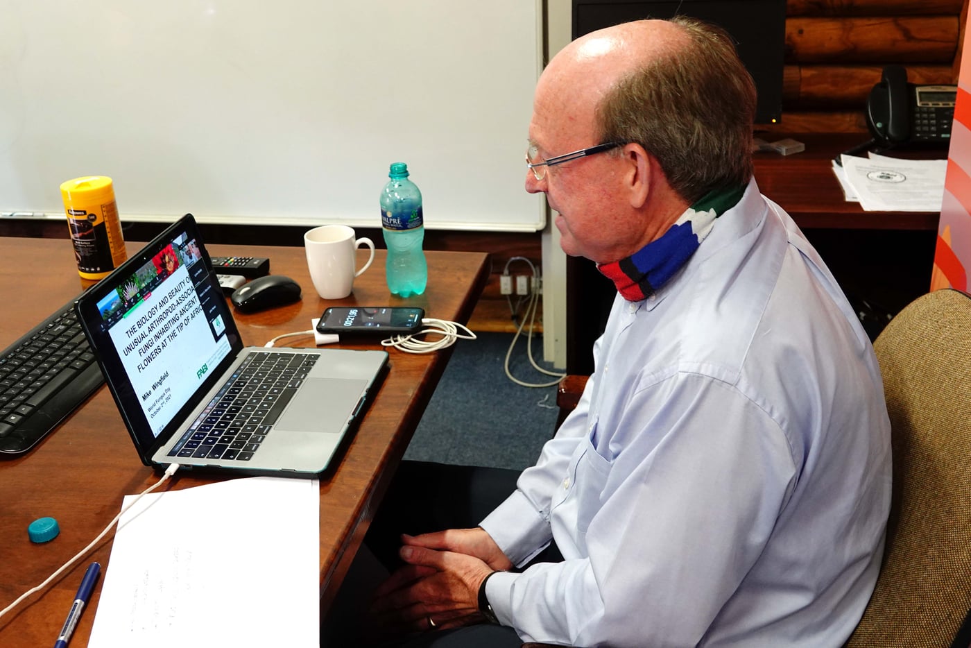 FABI celebrates World Fungi Day