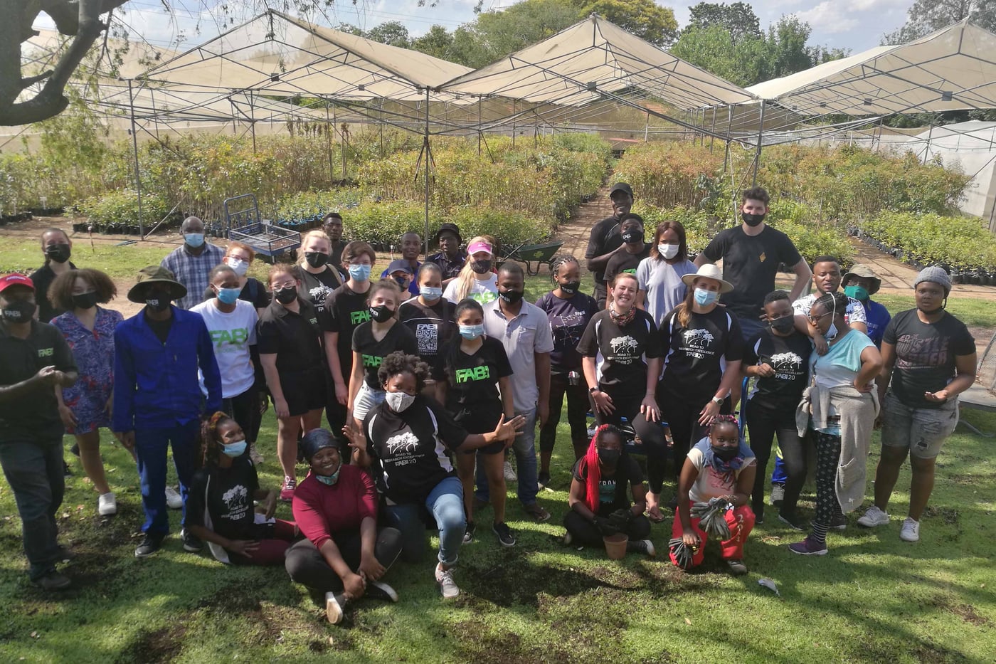 Tree planting brings the year to a close