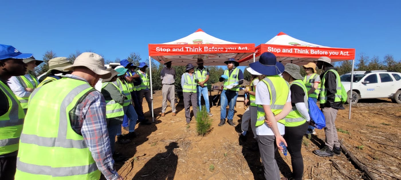EPPI team performs in-field inoculation of the pitch canker pathogen