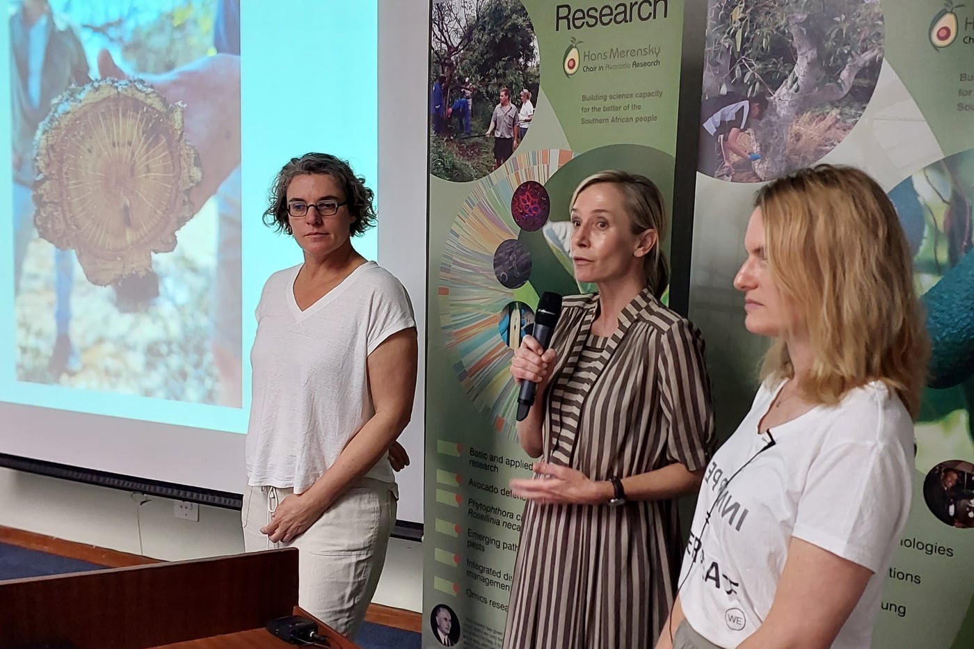 Artists from the Art and Trees project visit FABI