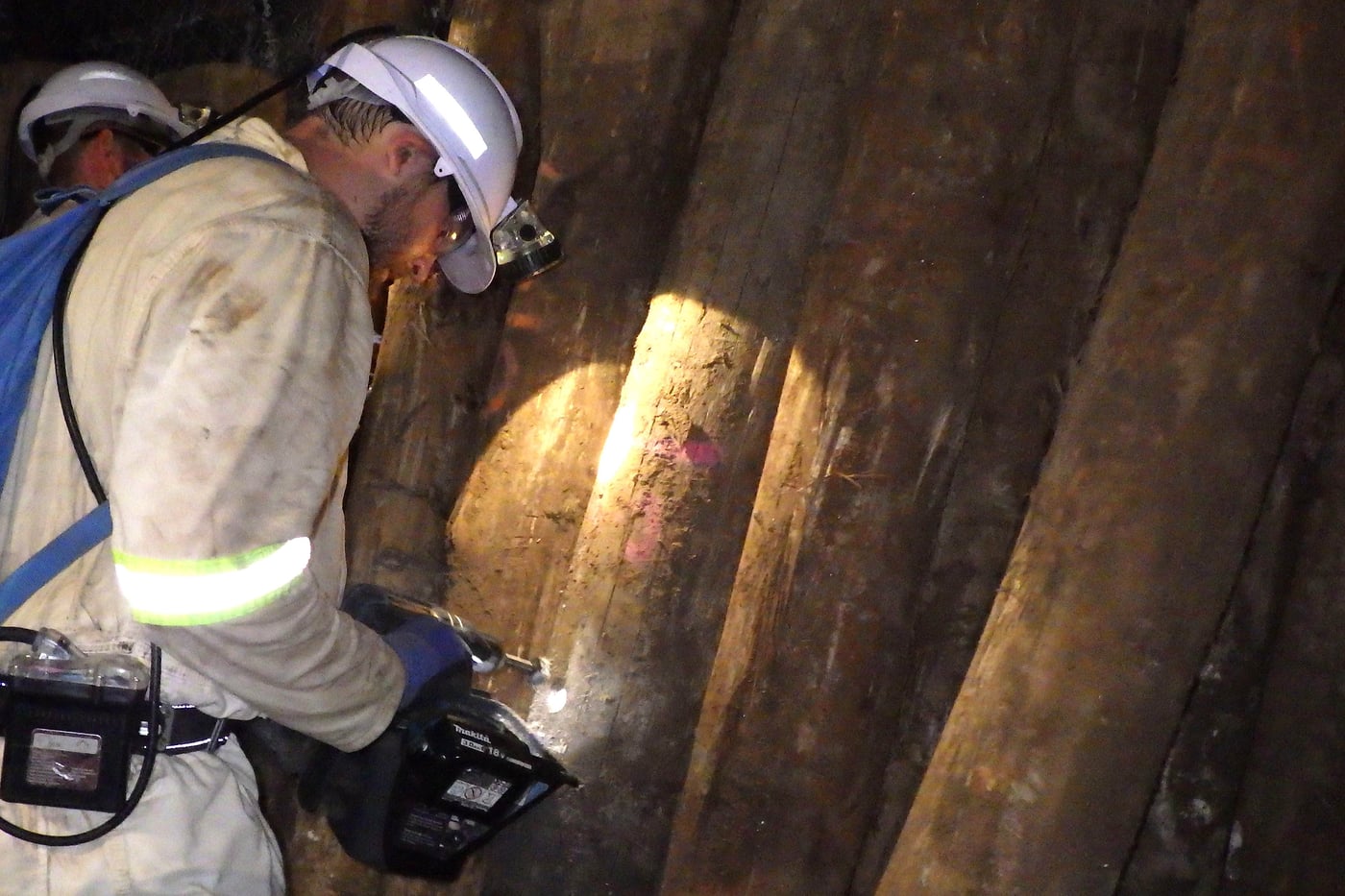 FABIans search for <i>Sporothrix</i> species associated with local mining operations