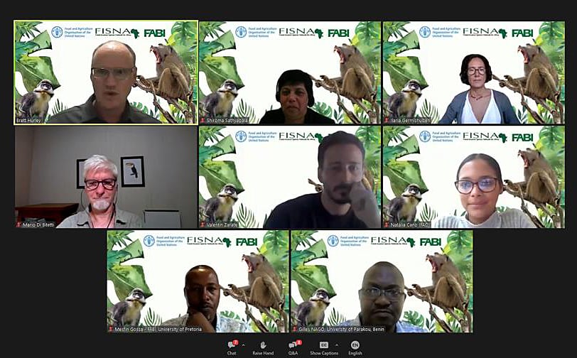 FABI and FAO co-host a webinar on Forest Health and Wildlife