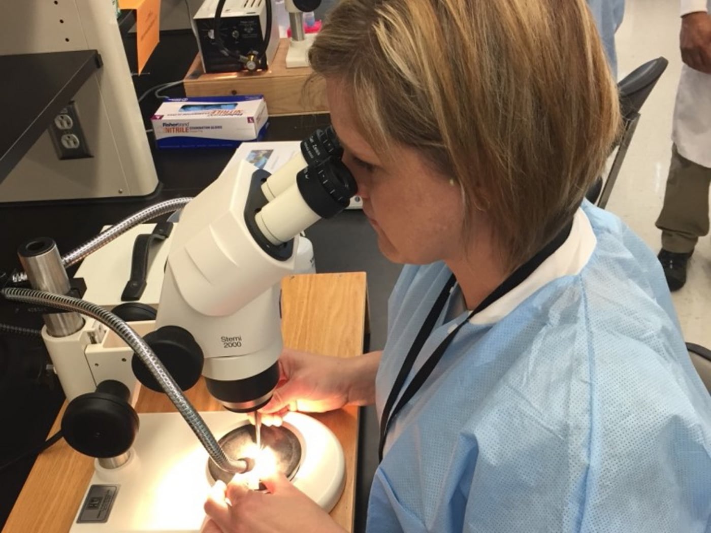 FABIan attends an Insect Genetic Technologies course in the USA
