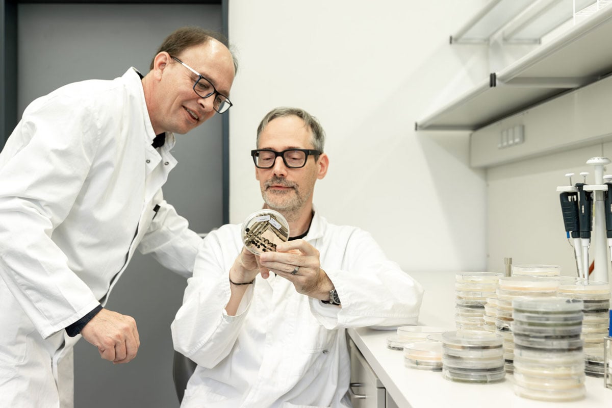 Prof. Bernard Slippers and Prof. André Fleißner in the lab
