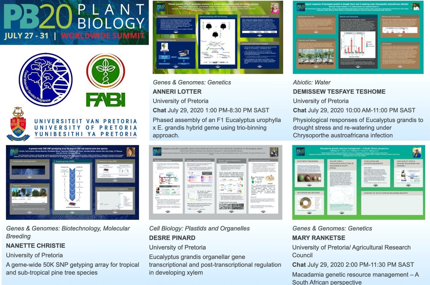 FMG members attend a virtual PB20 conference