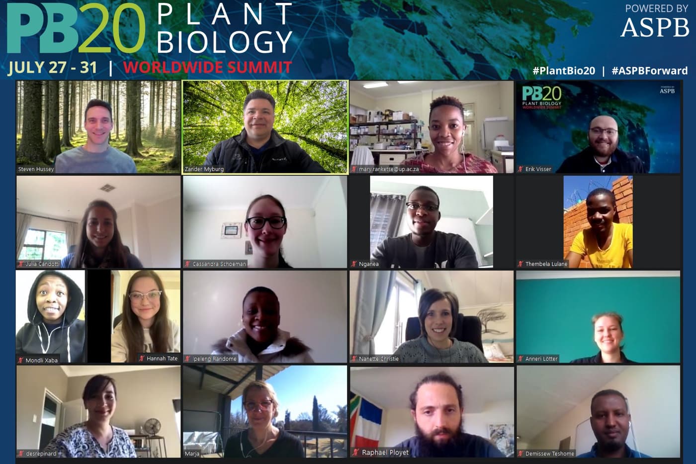 FMG members attend a virtual PB20 conference