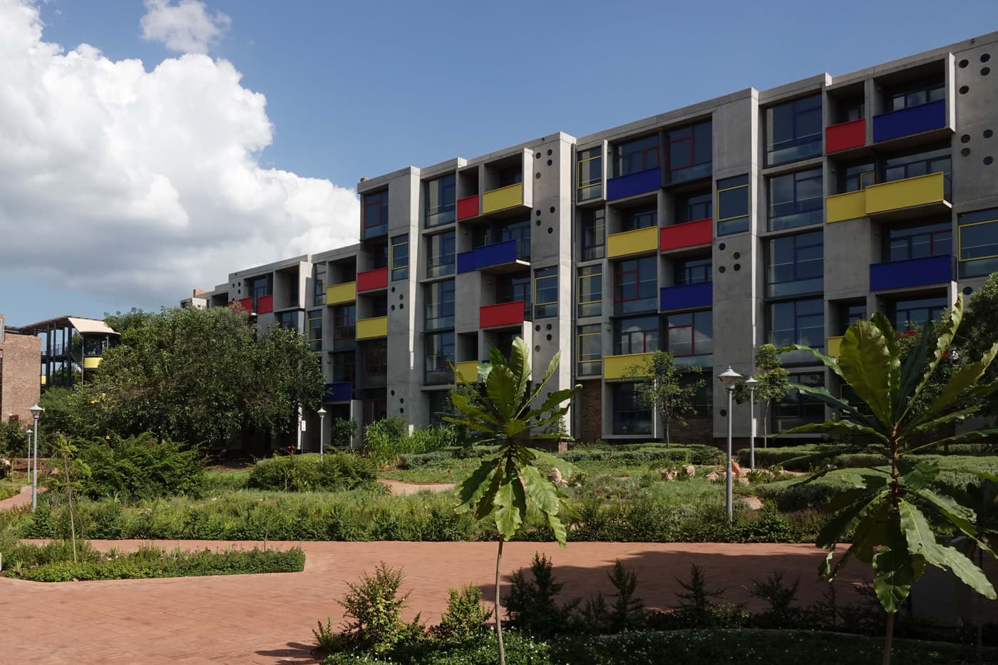 Join us for the Southern African Society for Plant Pathology conference on 20 January!
