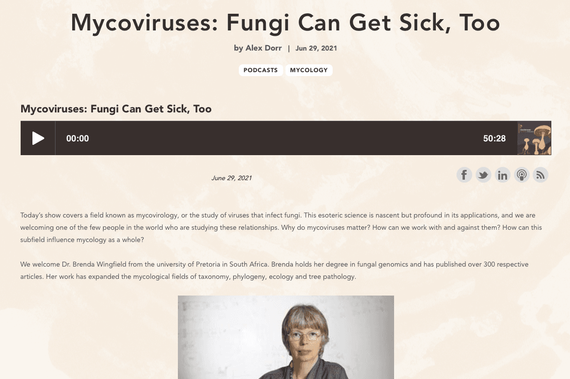 Getting excited about fungal viruses