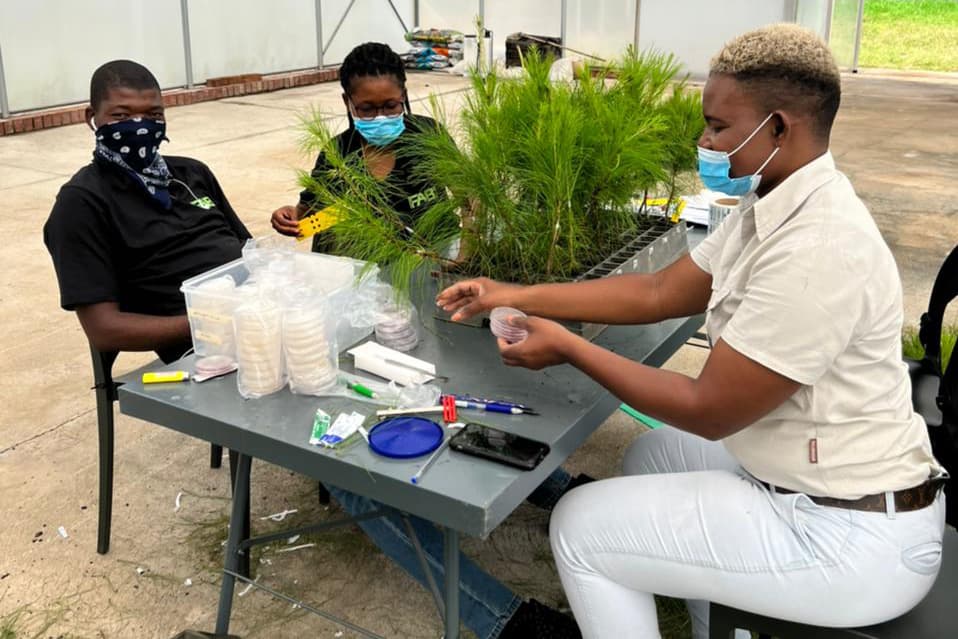 Teamwork makes quick work of inoculations