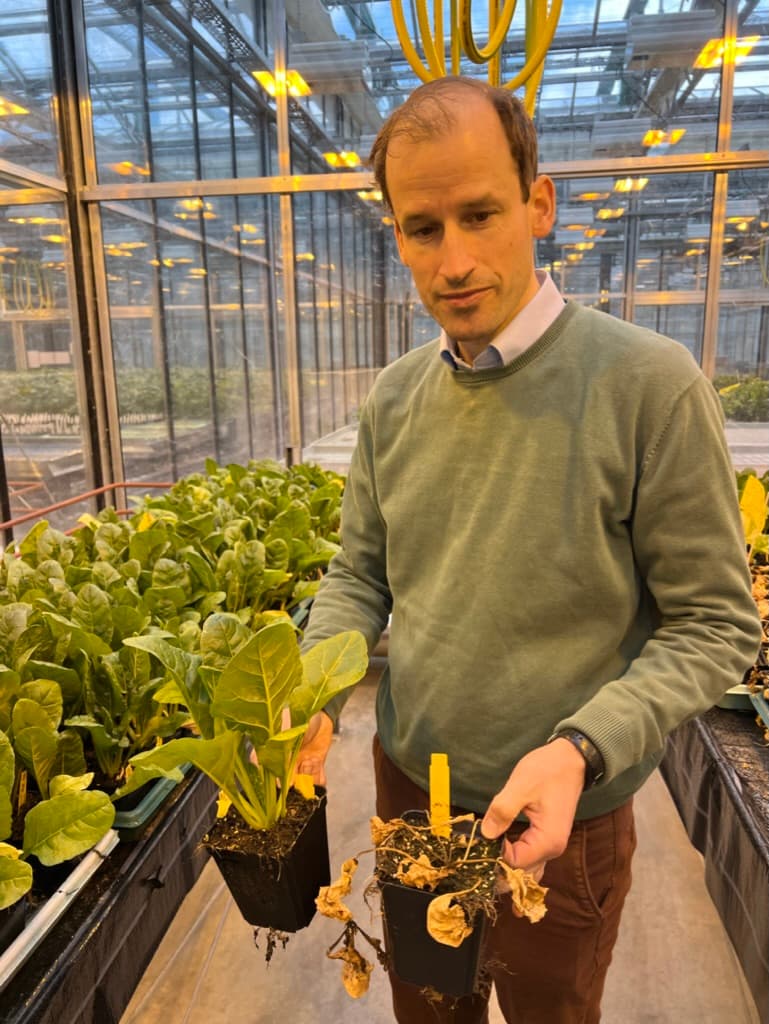 Seeding the future: An exploratory visit to KWS headquarters
