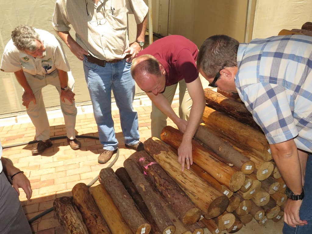Macadamia growers visit FABI