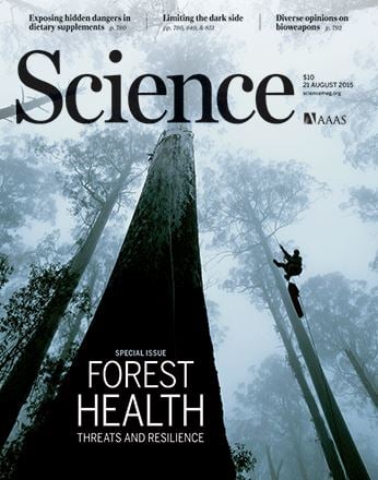 FABI publishes a record number of papers in 2015!